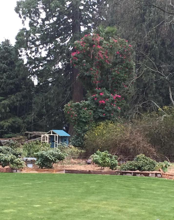 Holmestead Farm メスベン エクステリア 写真